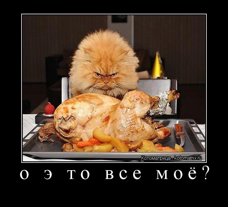 Котоматрица: о э то все моё? 