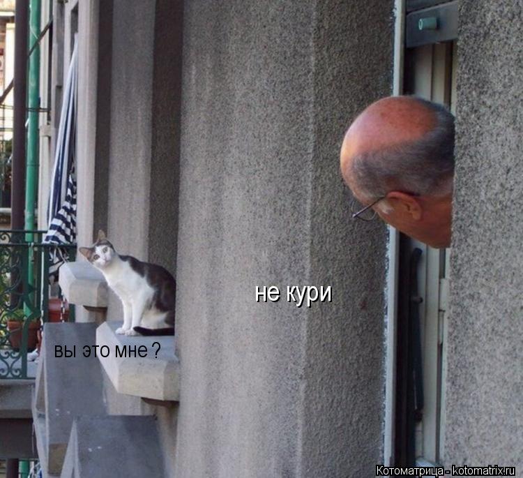 Котоматрица: не кури вы это мне ?