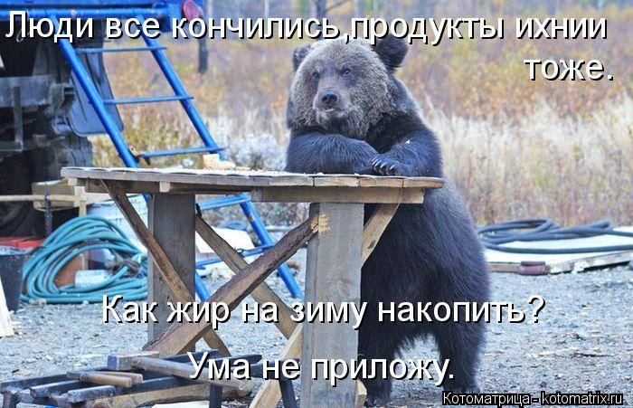 Люди все кончились,продукты ихнии тоже. Как жир на зиму накопить? Ума не приложу.... Котоматрица: Люди все кончились,продукты ихнии тоже. Как жир на зиму накопить? Ума не приложу.
