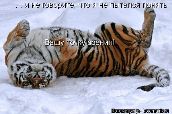 ... и не говорите, что я не пытался понять Вашу точку зрения!... Котоматрица: ... и не говорите, что я не пытался понять Вашу точку зрения!