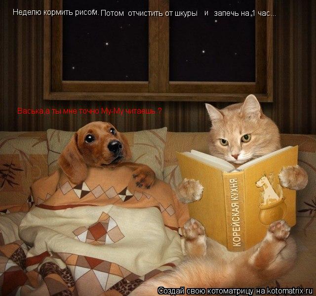 Неделю кормить рисом. Потом отчистить от шкуры и запечь на 1 час... Васька,а ты мне точно Му-Му чи... Котоматрица: Неделю кормить рисом. Потом отчистить от шкуры и запечь на 1 час... Васька,а ты мне точно Му-Му читаешь ?