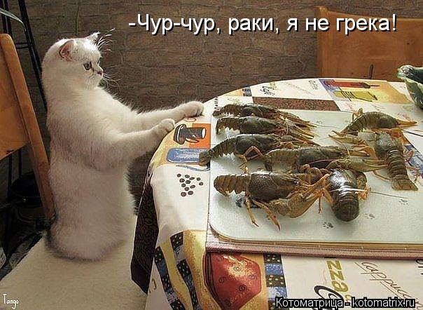 -Чур-чур, раки, я не грека!... Котоматрица: -Чур-чур, раки, я не грека!