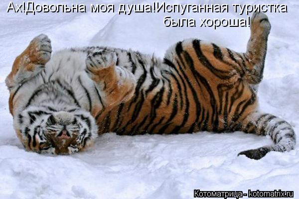Котоматрица: Ах!Довольна моя душа!Испуганная туристка была хороша!