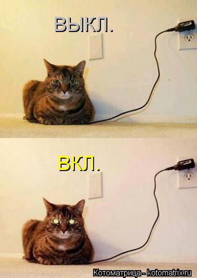 ВЫКЛ. ВКЛ.... Котоматрица: ВЫКЛ. ВКЛ.