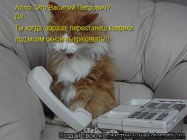 Алло. Это Василий Петрович? Да. Ты когда, зараза, перестанеш коврики под моим окнов вытряхивать!!!... Котоматрица: Алло. Это Василий Петрович? Да. Ты когда, зараза, перестанеш коврики под моим окнов вытряхивать!!!