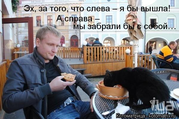 Котоматрица: мы забрали бы с собой… Эх, за того, что слева – я бы вышла! А справа –