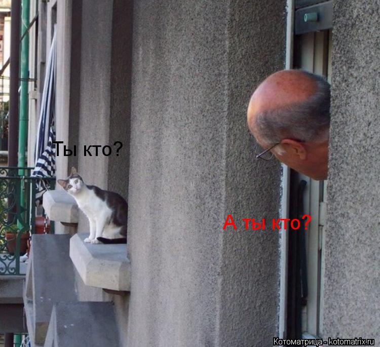 Ты кто? А ты кто?... Котоматрица: Ты кто? А ты кто?