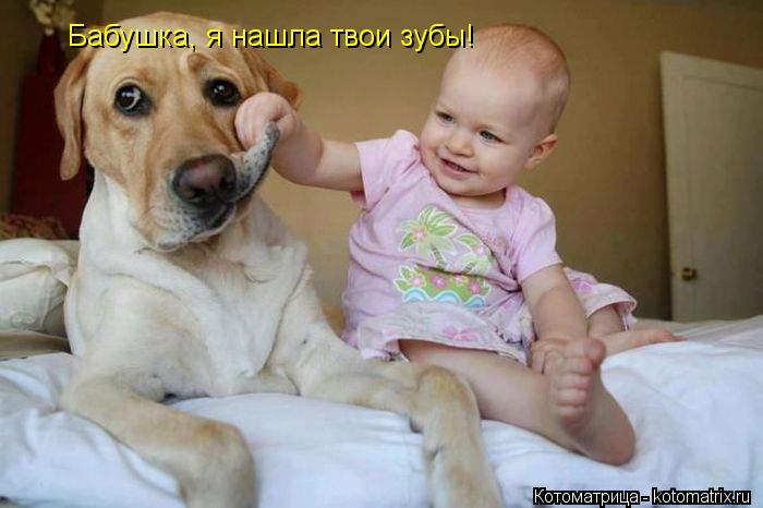 Бабушка, я нашла твои зубы!... Котоматрица: Бабушка, я нашла твои зубы!