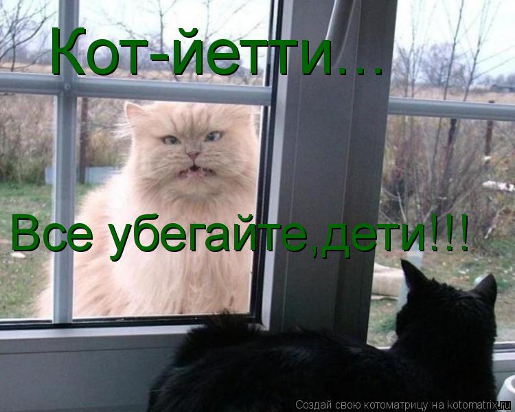 Кот-йетти... Все убегайте,дети!!!... Котоматрица: Кот-йетти... Все убегайте,дети!!!