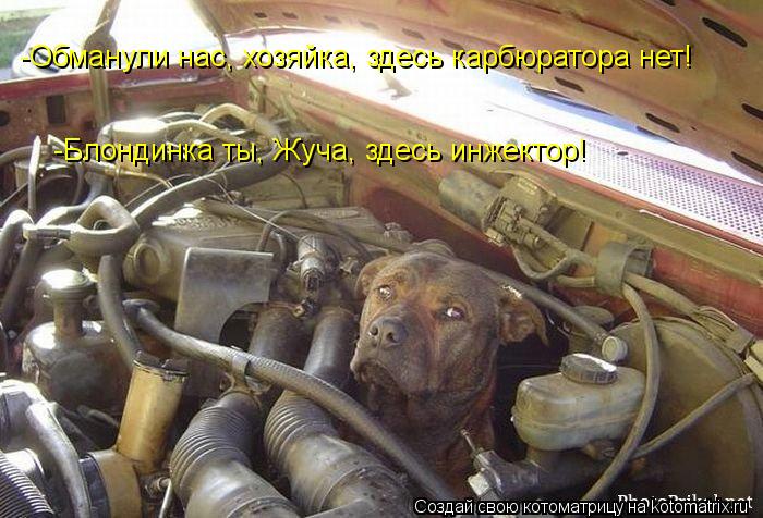 -Обманули нас, хозяйка, здесь карбюратора нет! -Блондинка ты, Жуча, здесь инжектор!... Котоматрица: -Обманули нас, хозяйка, здесь карбюратора нет! -Блондинка ты, Жуча, здесь инжектор!