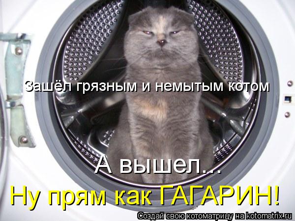 Котоматрица: Зашёл грязным и немытым котом А вышел... Ну прям как ГАГАРИН!