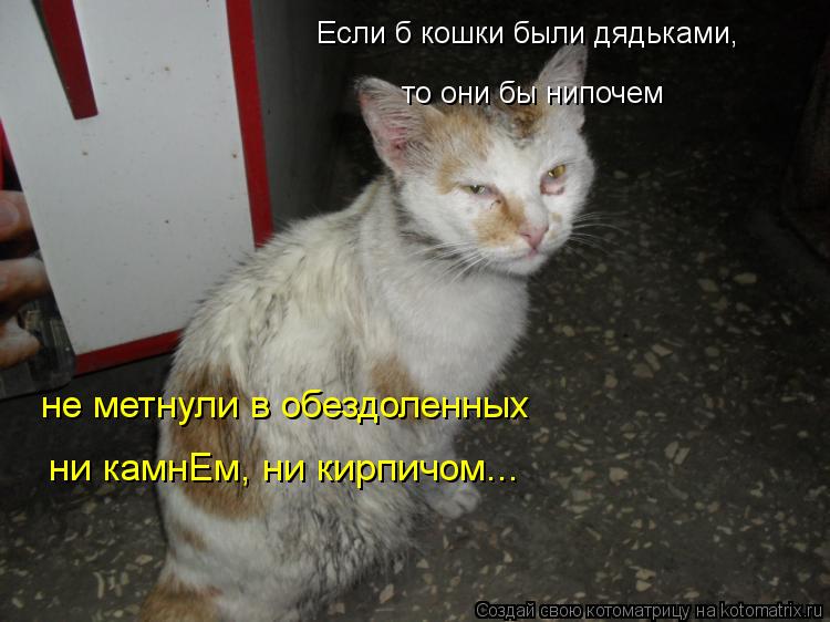 Если б кошки были дядьками, то они бы нипочем не метнули в обездоленных ни камнЕм, ни кирпичом...... Котоматрица: Если б кошки были дядьками, то они бы нипочем не метнули в обездоленных ни камнЕм, ни кирпичом...