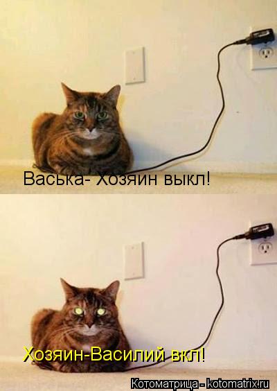 Хозяин-Василий вкл! Васька- Хозяин выкл!... Котоматрица: Хозяин-Василий вкл! Васька- Хозяин выкл!