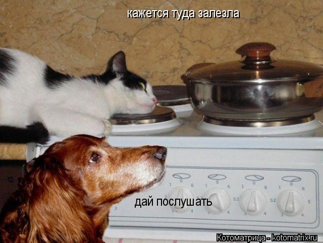 Котоматрица: кажется туда залезла дай послушать