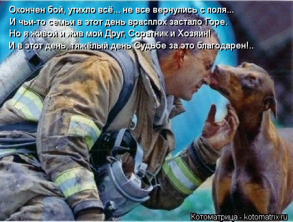 Окончен бой, утихло всё... не все вернулись с поля... И чьи-то семьи в этот день врасплох застало Гор... Котоматрица: Окончен бой, утихло всё... не все вернулись с поля... И чьи-то семьи в этот день врасплох застало Горе. И в этот день, тяжёлый день Судьбе за это