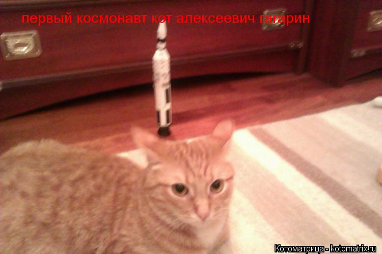 первый космонавт кот алексеевич гагарин... Котоматрица: первый космонавт кот алексеевич гагарин