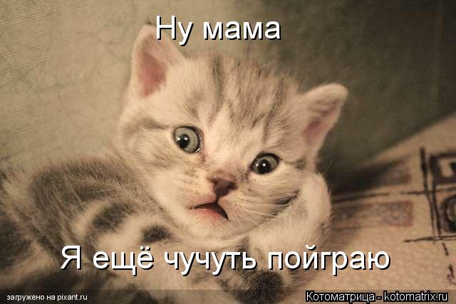 Котоматрица: Ну мама  Я ещё чучуть пойграю