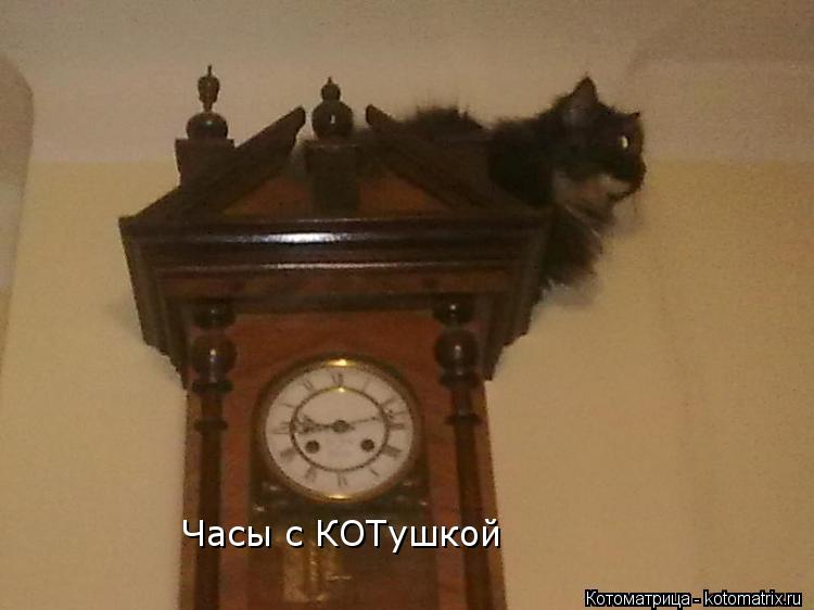 Часы с КОТушкой... Котоматрица: Часы с КОТушкой