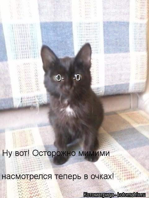 Котоматрица: 0- -0 Ну вот! Осторожно мимими насмотрелся теперь в очках!