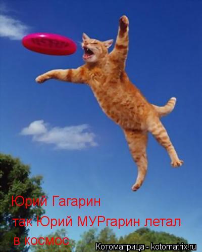 Юрий Гагарин так Юрий МУРгарин летал в космос... Котоматрица: Юрий Гагарин так Юрий МУРгарин летал в космос