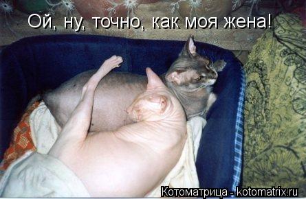 Ой, ну, точно, как моя жена!... Котоматрица: Ой, ну, точно, как моя жена!