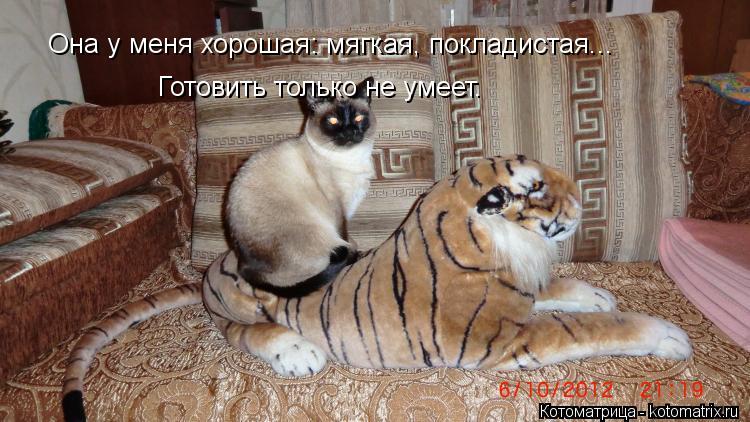 Она у меня хорошая: мягкая, покладистая... Готовить только не умеет.... Котоматрица: Она у меня хорошая: мягкая, покладистая... Готовить только не умеет.