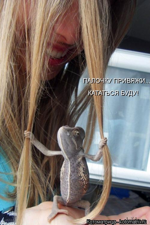 ПАЛОЧКУ ПРИВЯЖИ... КАТАТЬСЯ БУДУ!... Котоматрица: ПАЛОЧКУ ПРИВЯЖИ... КАТАТЬСЯ БУДУ!