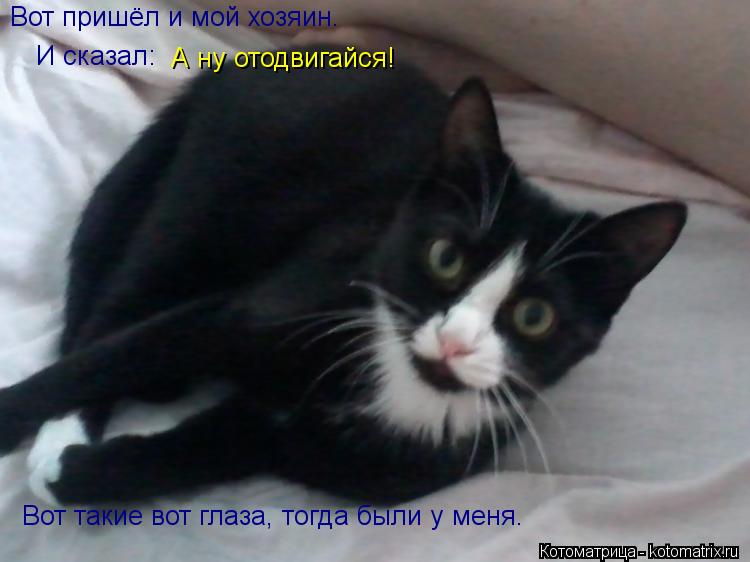 Вот пришёл и мой хозяин. И сказал: Вот такие вот глаза, тогда были у меня. А ну отодвигайся!... Котоматрица: Вот пришёл и мой хозяин. И сказал: Вот такие вот глаза, тогда были у меня. А ну отодвигайся!