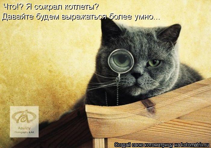 Что!? Я сожрал котлеты? Давайте будем выражаться более умно...... Котоматрица: Что!? Я сожрал котлеты? Давайте будем выражаться более умно...