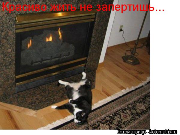 Красиво жить не запертишь...... Котоматрица: Красиво жить не запертишь...