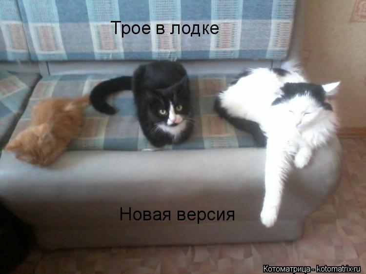 Котоматрица: Трое в лодке  Новая версия