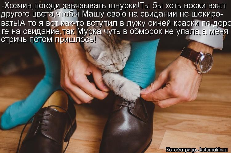 -Хозяин,погоди завязывать шнурки!Ты бы хоть носки взял другого цвета,чтобы Машу свою на свидании не ш... Котоматрица: -Хозяин,погоди завязывать шнурки!Ты бы хоть носки взял другого цвета,чтобы Машу свою на свидании не шокиро- вать!А то я вот как-то вступил в л