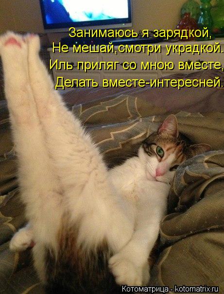 Котоматрица: Занимаюсь я зарядкой, Не мешай,смотри украдкой. Иль приляг со мною вместе, Делать вместе-интересней...