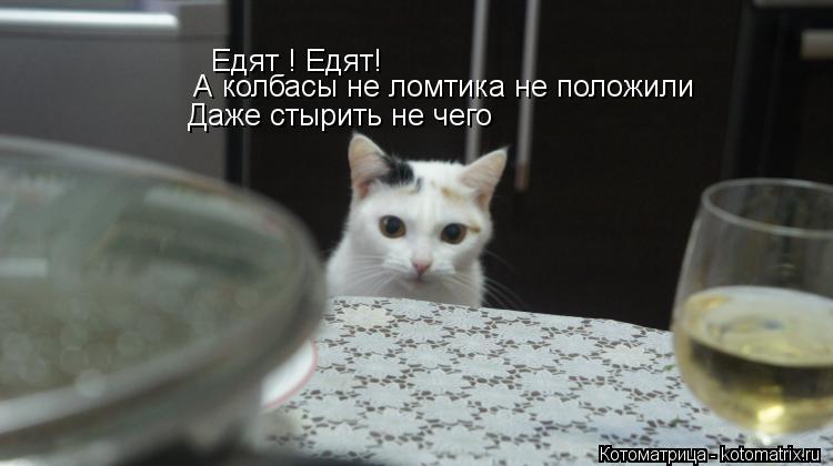 Едят ! Едят! А колбасы не ломтика не положили Даже стырить не чего... Котоматрица: Едят ! Едят! А колбасы не ломтика не положили Даже стырить не чего
