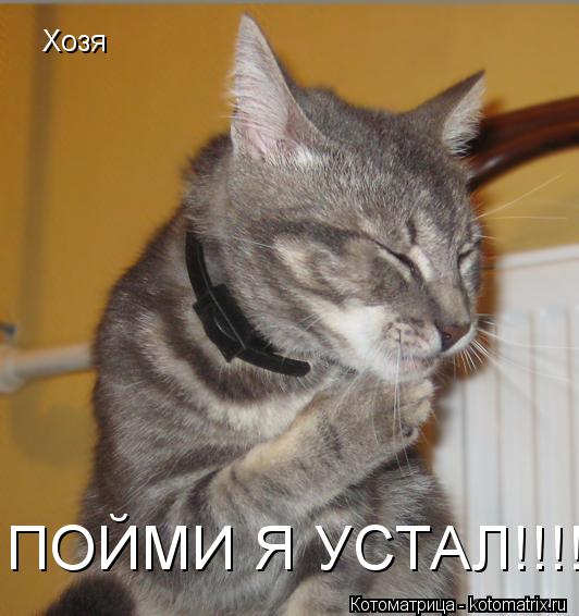 Котоматрица: Хозя  ПОЙМИ Я УСТАЛ!!!!
