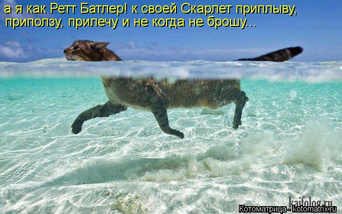 а я как Ретт Батлер! к своей Скарлет приплыву, приползу, прилечу и не когда не брошу...... Котоматрица: а я как Ретт Батлер! к своей Скарлет приплыву, приползу, прилечу и не когда не брошу...