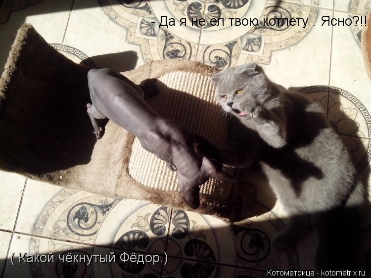 Котоматрица: - Да я не ел твою котлету . Ясно?!! ( Какой чёкнутый Фёдор.)