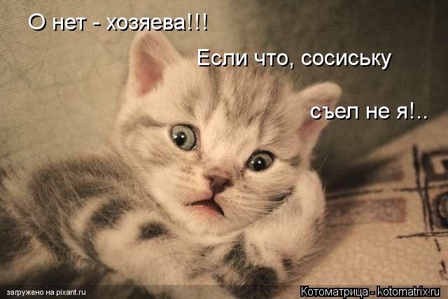 О нет - хозяева!!! Если что, сосиську съел не я!..... Котоматрица: О нет - хозяева!!! Если что, сосиську съел не я!..