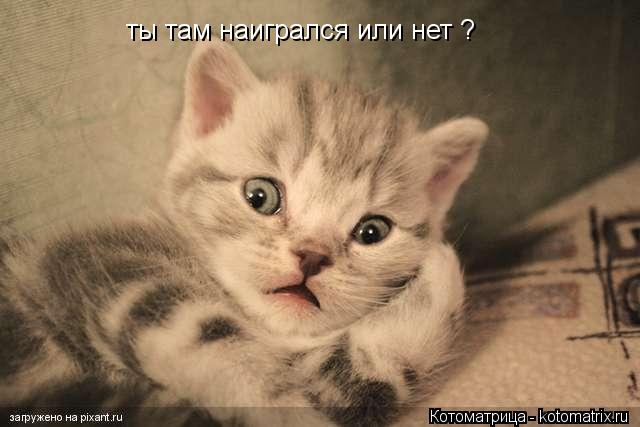 Котоматрица: ты там наигрался или нет ?