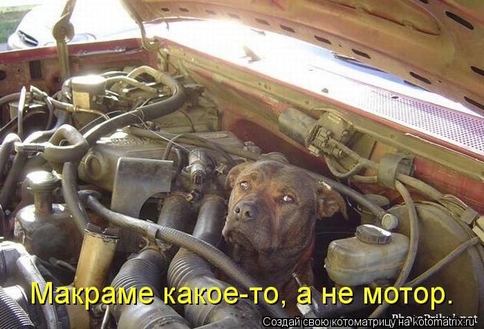 Котоматрица: Макраме какое-то, а не мотор.