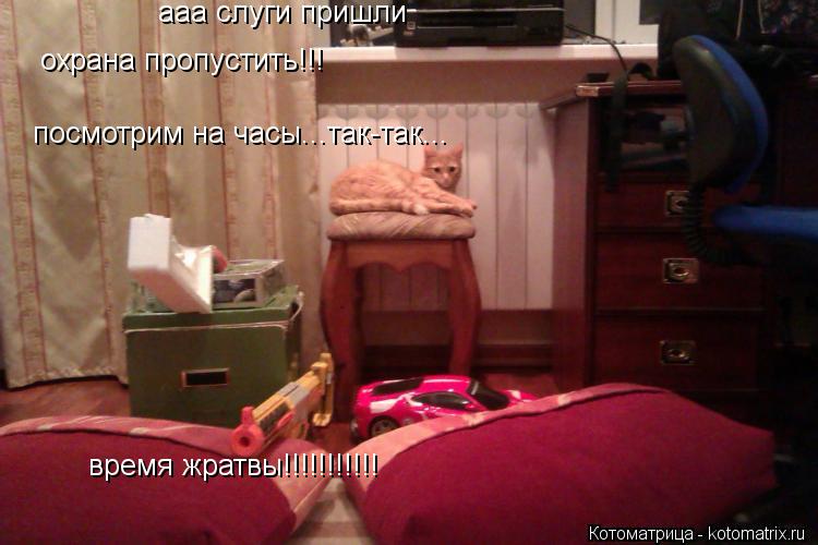 ааа слуги пришли охрана пропустить!!! посмотрим на часы...так-так... время жратвы!!!!!!!!!!!... Котоматрица: ааа слуги пришли охрана пропустить!!! посмотрим на часы...так-так... время жратвы!!!!!!!!!!!