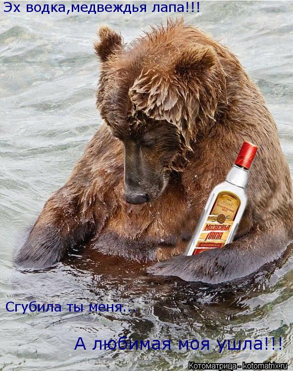 Эх водка,медвеждья лапа!!! Сгубила ты меня... А любимая моя ушла!!!... Котоматрица: Эх водка,медвеждья лапа!!! Сгубила ты меня... А любимая моя ушла!!!
