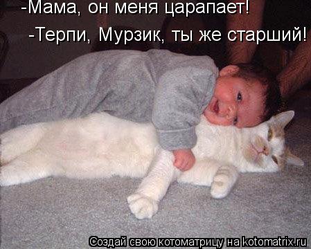 Котоматрица: -Мама, он меня царапает! -Терпи, Мурзик, ты же старший!