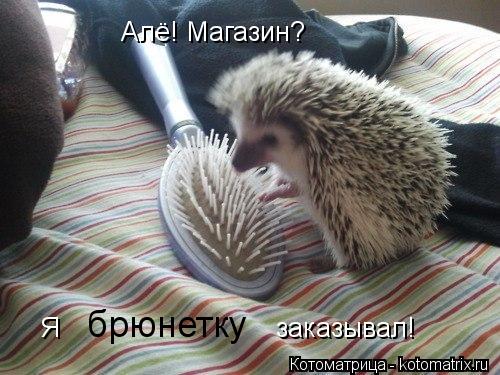 Алё! Магазин? Я заказывал! брюнетку... Котоматрица: Алё! Магазин? Я заказывал! брюнетку