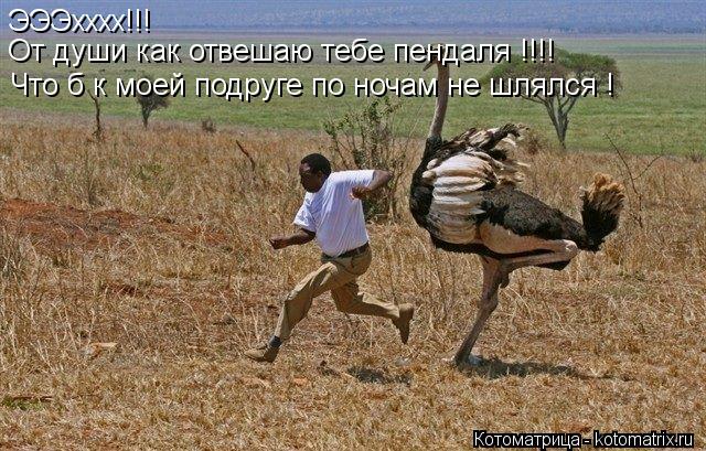 ЭЭЭхххх!!! От души как отвешаю тебе пендаля !!!! Что б к моей подруге по ночам не шлялся !... Котоматрица: ЭЭЭхххх!!! От души как отвешаю тебе пендаля !!!! Что б к моей подруге по ночам не шлялся !