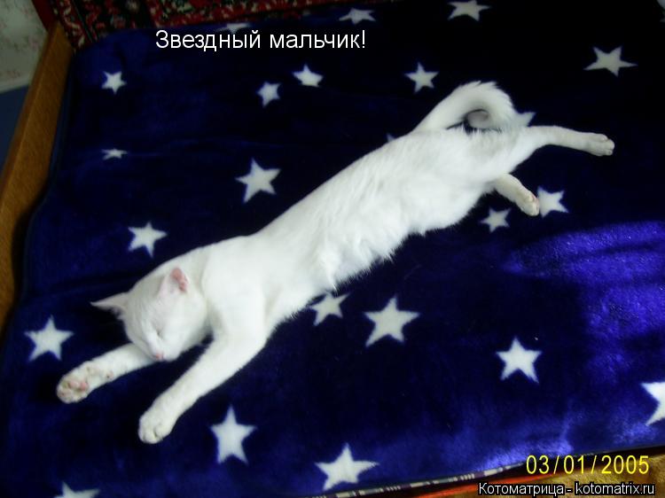 Звездный мальчик!... Котоматрица: Звездный мальчик!