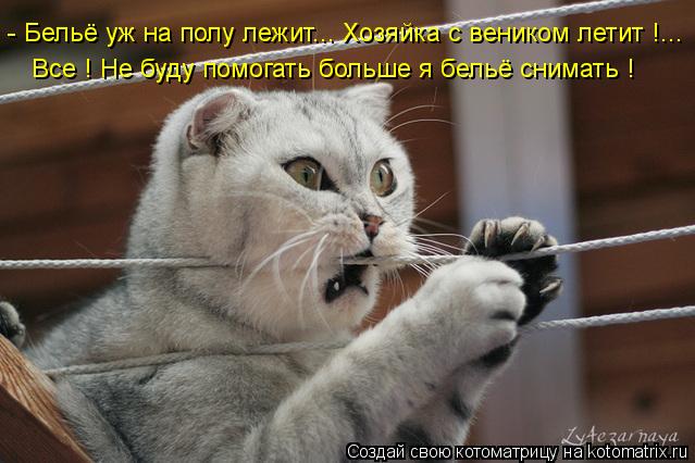 Котоматрица: - Бельё уж на полу лежит... Хозяйка с веником летит !... Все ! Не буду помогать больше я бельё снимать !