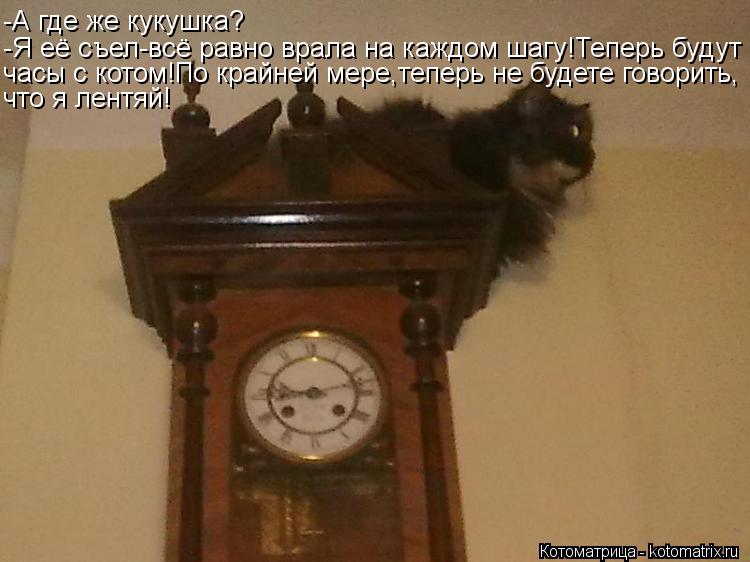 Котоматрица: -А где же кукушка? -Я её съел-всё равно врала на каждом шагу!Теперь будут часы с котом!По крайней мере,теперь не будете говорить, что я лентяй!