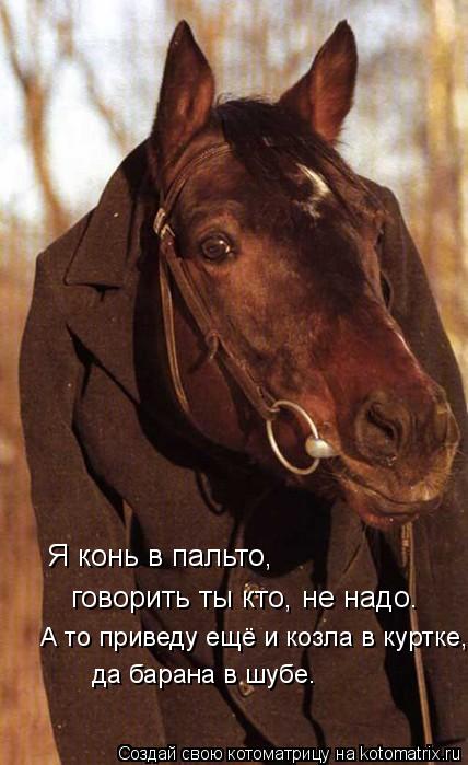 Я конь в пальто, говорить ты кто не надо говорить ты кто, не надо. А то приведу ещё и козла в курт... Котоматрица: Я конь в пальто, говорить ты кто не надо говорить ты кто, не надо. А то приведу ещё и козла в куртке, да барана в шубе.