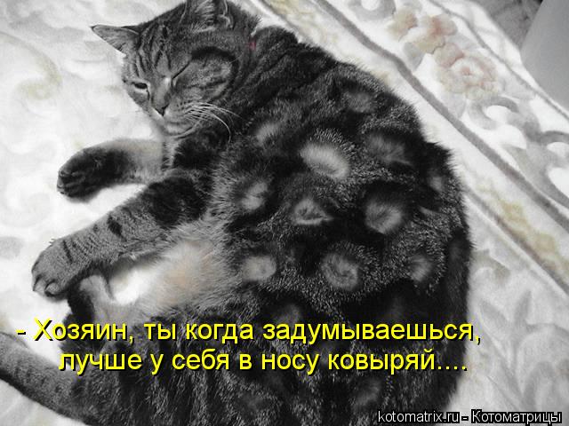 Котоматрица: - Хозяин, ты когда задумываешься, лучше у себя в носу ковыряй....